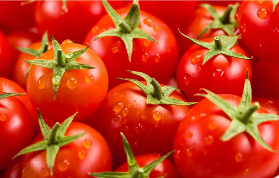 Fresh Tomato Puree Processing Line  6.5t/H High Capacity